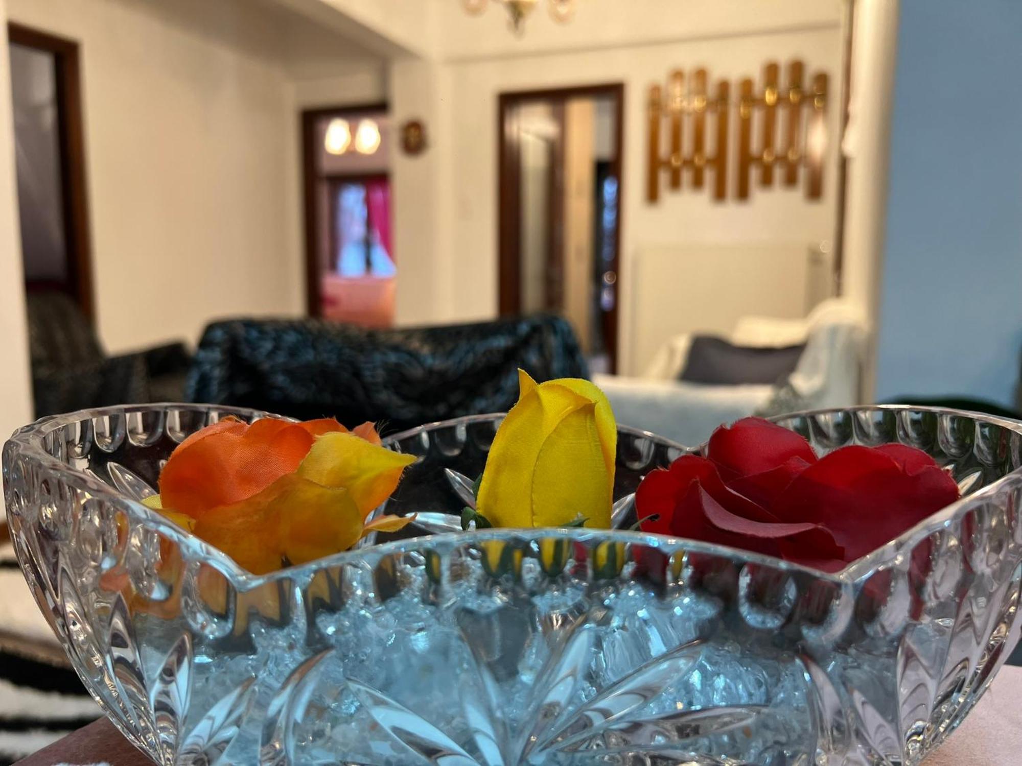 メツォヴォAgapi'S Houseアパートメント エクステリア 写真