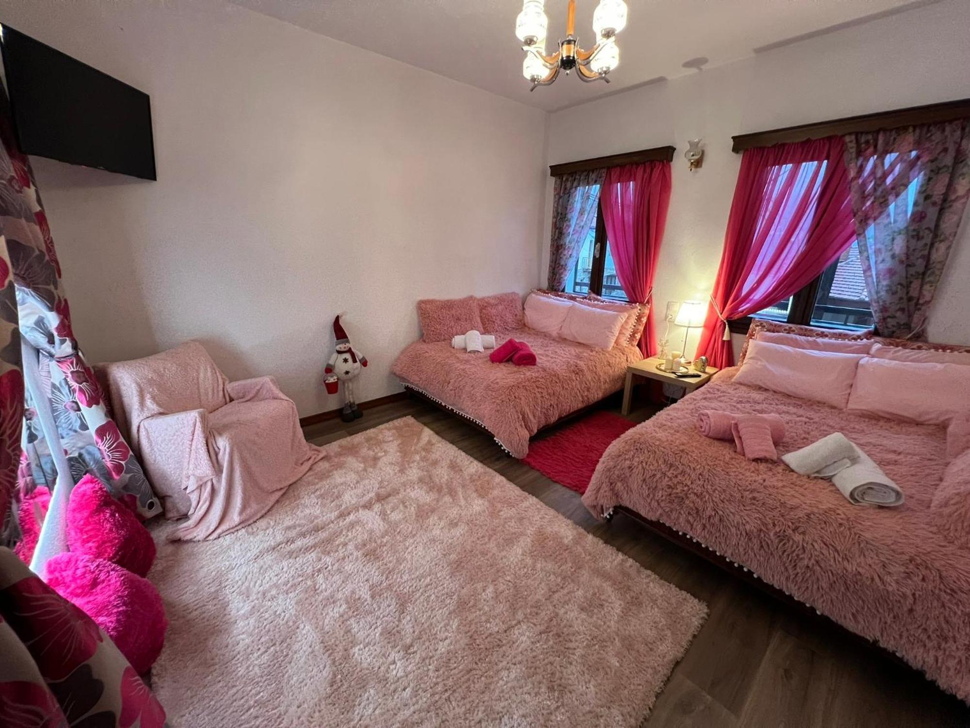 メツォヴォAgapi'S Houseアパートメント エクステリア 写真
